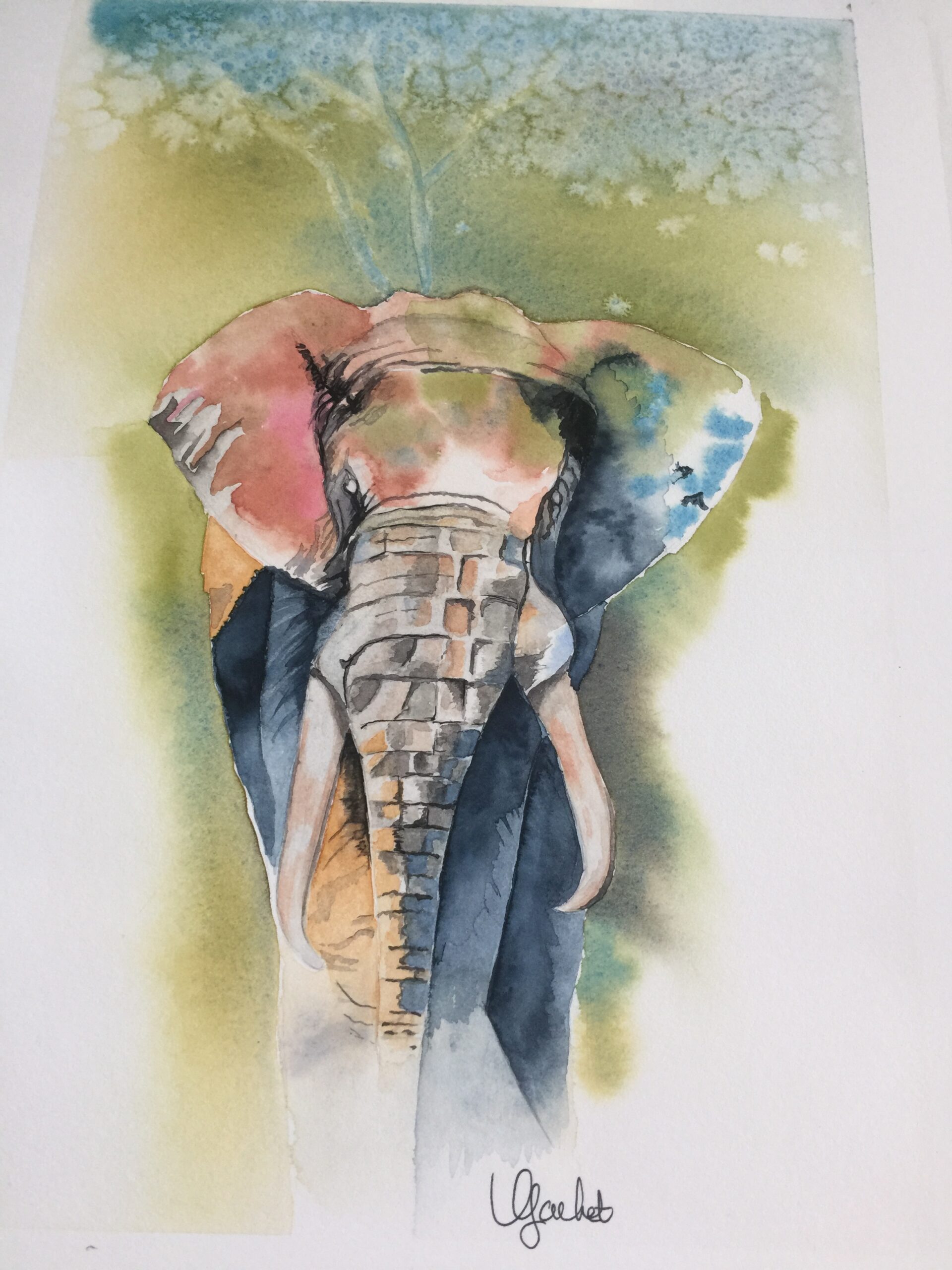Aquarelle originale de Véronique Gachet, éléphant